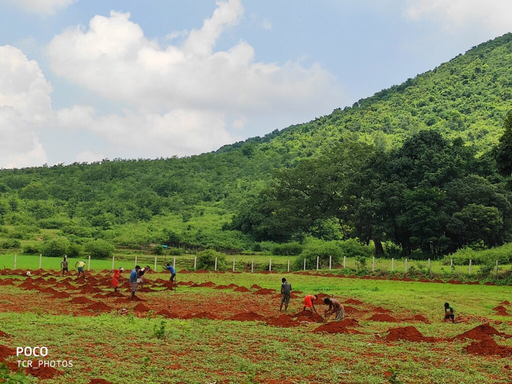 Journey of Dona Eco Farms