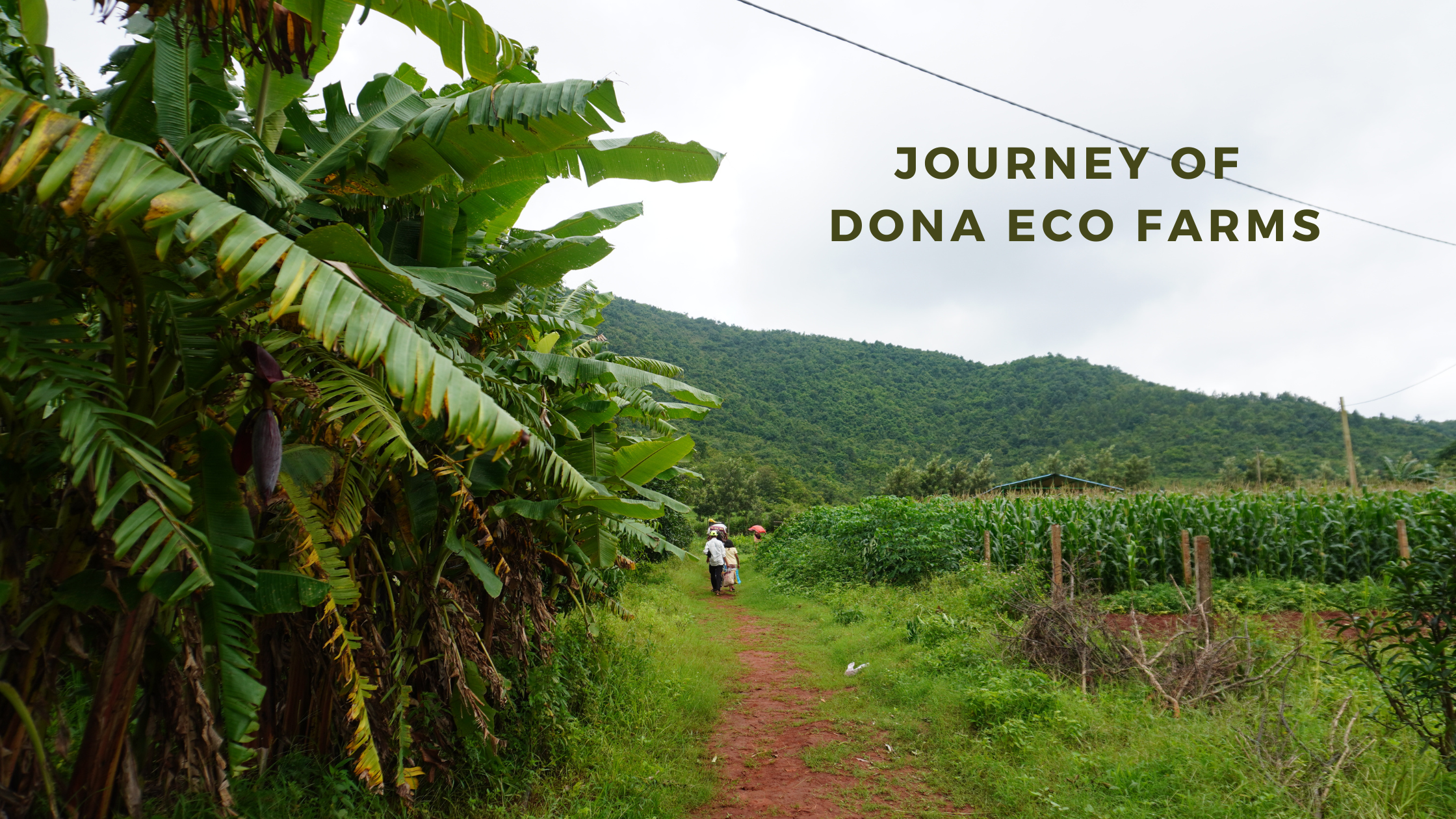 Journey of Dona Eco Farms