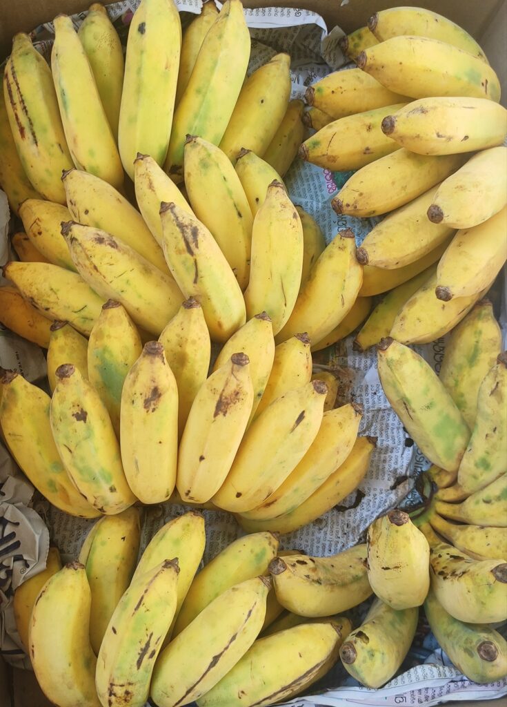 Desi Banana